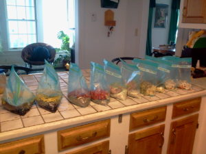 Ten freezer bags with meals in them.